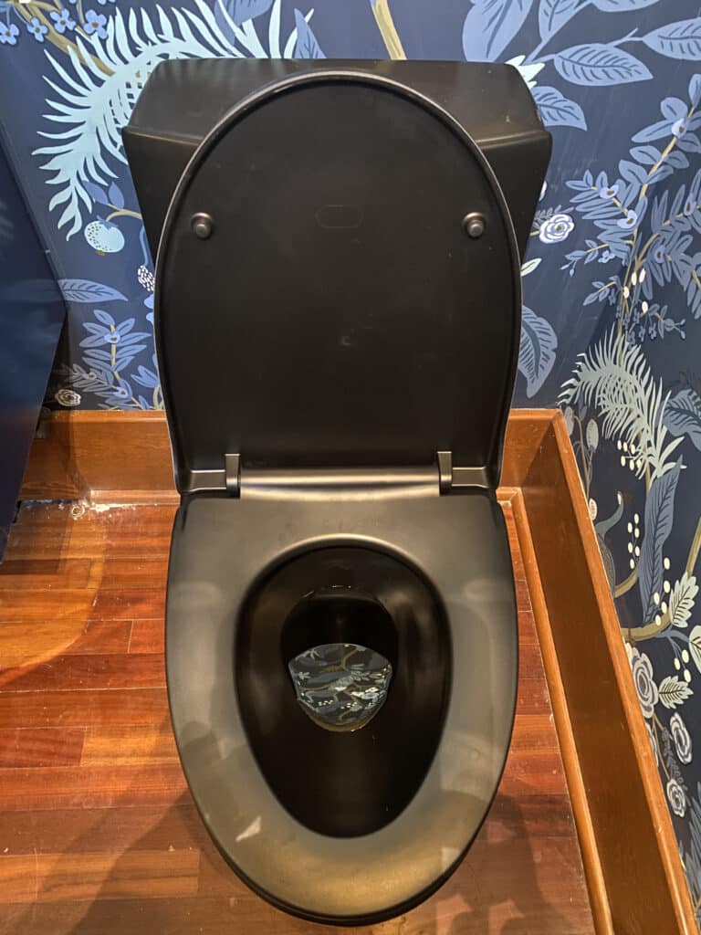 A new and clean black toilet